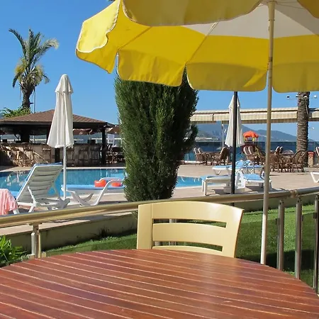 Sunset Beach Club Dolphin 03